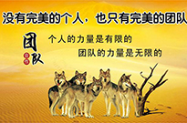 做職業(yè)銷(xiāo)售人